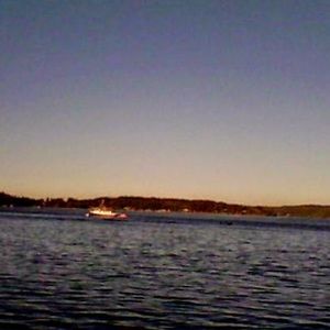 Meet your Posher, Lily